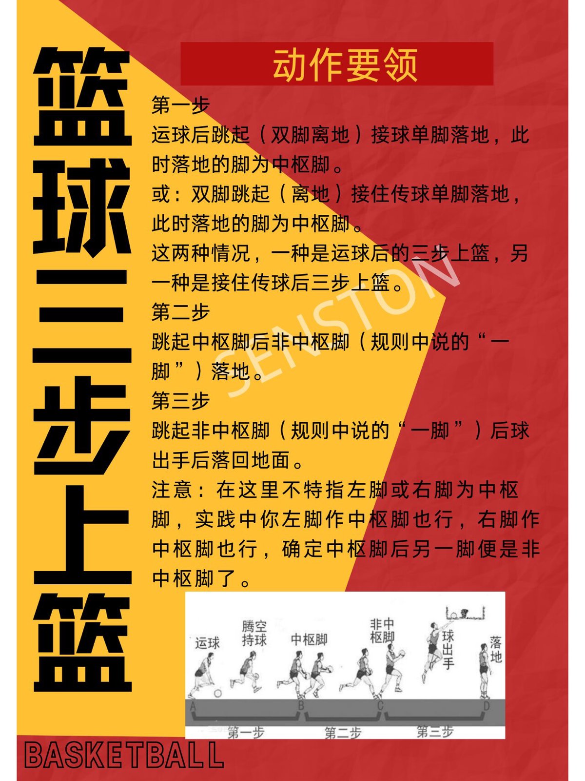 篮球训练动作要领视频大全